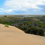 Excursiones organizadas al Parque Nacional de Doñana