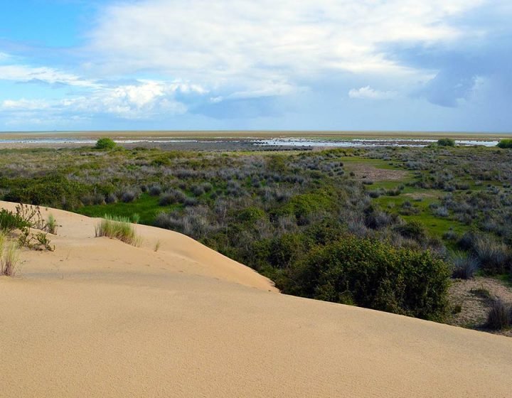 Excursiones organizadas al Parque Nacional de Doñana