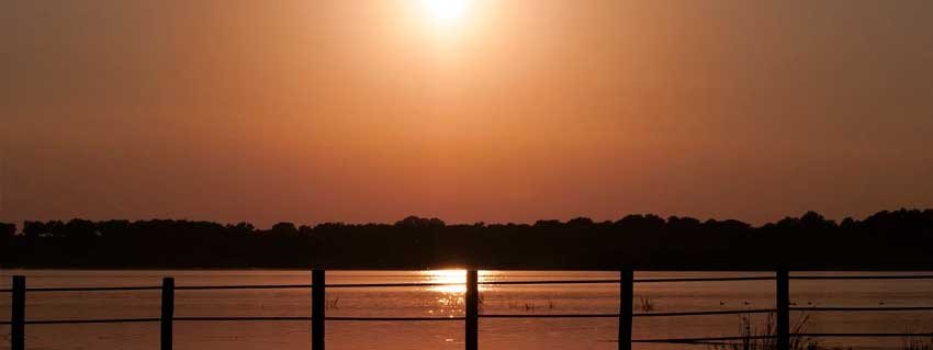 Visita al Parque Nacional de Doñana