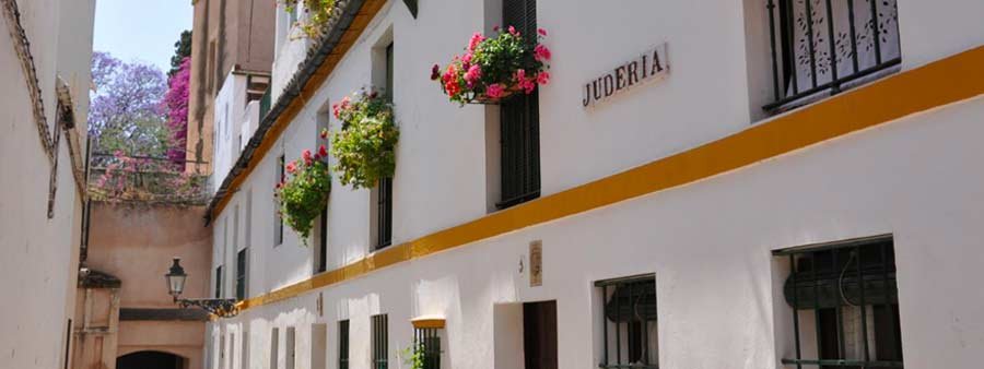 Sevilla histórica. Barrio de Santa Cruz. 